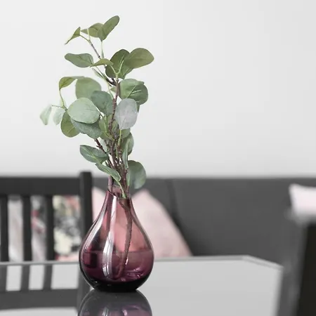 Kamienica Centrum Nr 11 Daire