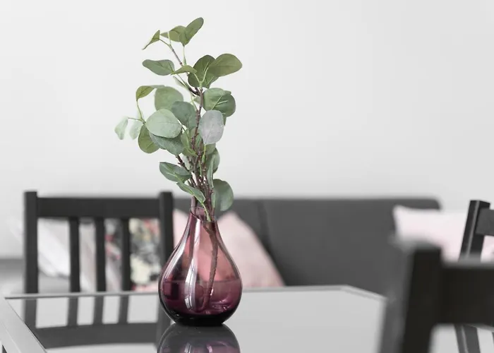 Kamienica Centrum Nr 11 Daire