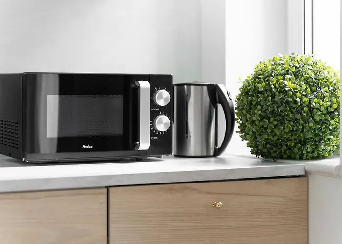 Kamienica Centrum Nr 11 Daire