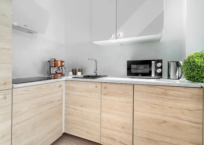 Daire Kamienica Centrum Nr 11